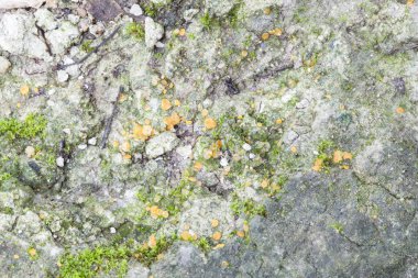 eski taş duvar doğa arka plan.