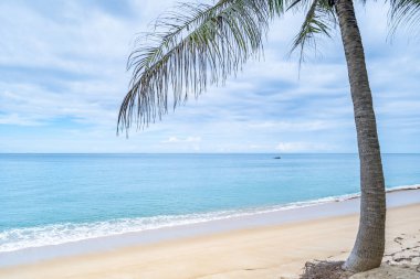 Yaz tatili konsepti için arka plan, plajda hindistan cevizi palmiyeleri olan deniz ve plajın doğası güneş ışığıyla yaz