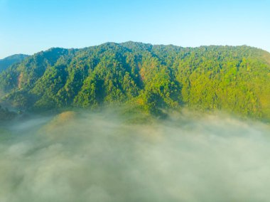 Tropikal yağmur ormanlarında akan sis dalgalarının hava görüntüsü bulutların üzerindeki kuş bakışı görüntü Tayland 'da bulutlar ve dağ zirveleriyle dolu arka plan.