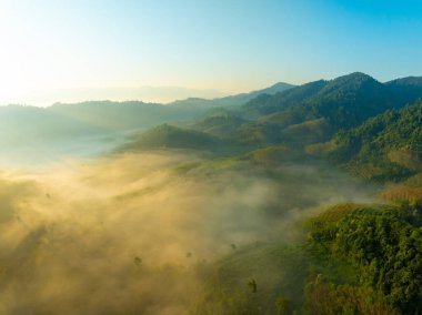 Tropikal yağmur ormanlarında akan sis dalgalarının hava görüntüsü bulutların üzerindeki kuş bakışı görüntü Tayland 'da bulutlar ve dağ zirveleriyle dolu arka plan.