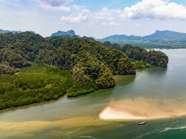 İnanılmaz bol mangrov ormanı, orman ağaçlarının havadan görünüşü yağmur ormanları ekosistemi ve sağlıklı çevre arka planı, tepeden tırnağa yeşil ağaçların yapısı, yüksek açı manzarası.