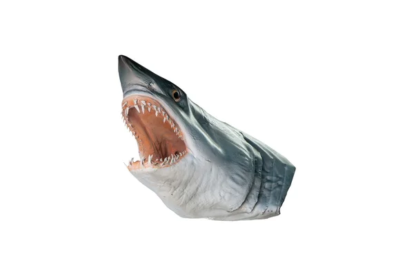 Model kepala hiu diisolasi di latar belakang putih dengan potongan tepukan — Stok Foto