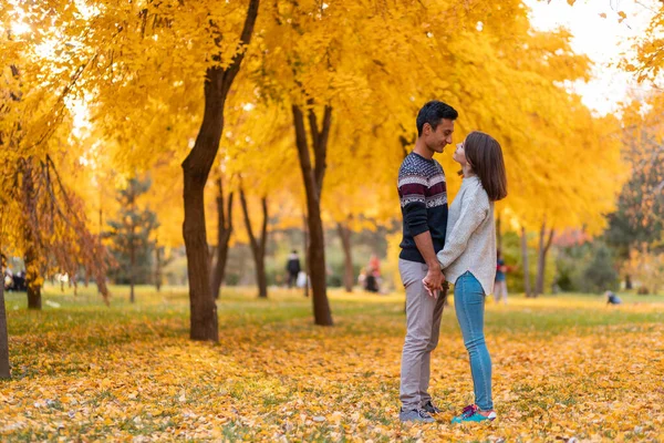 A lovely couple standing in an autumn park and holding hands, a mixed-race couple