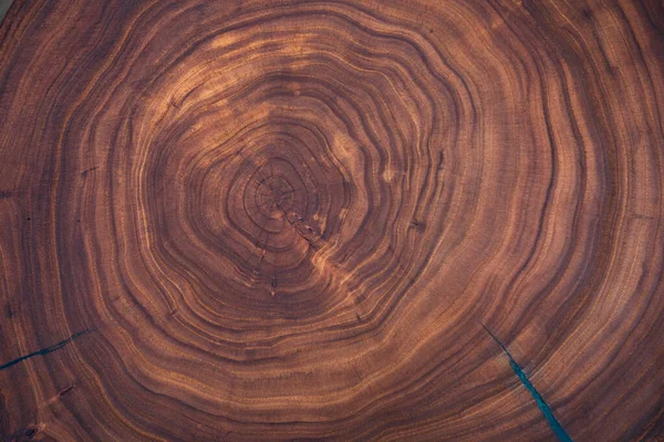 Texture Tree Stump Background Rough Organic Texture Tree Rings Close — Stock Photo, Image
