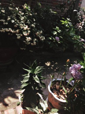 RNI Film uygulaması ile oluşturuldu. Önceden ayarlanmış 'Agfacolor 50'