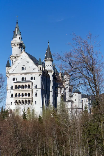 Château de Neuschwanstein au printemps, Bavière — Photo