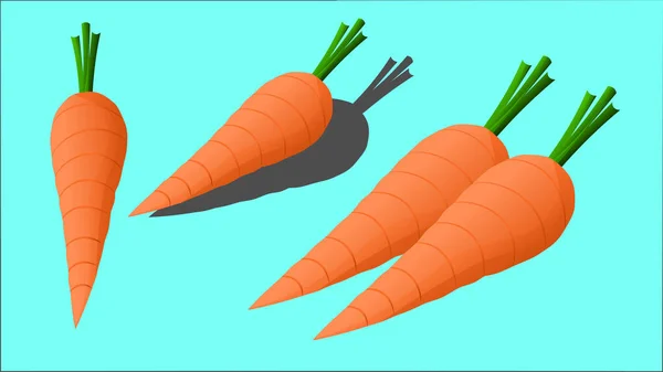 Fresh Carrot Isolated Drawing Duos Single Carrot Shadow Vector Background — 图库矢量图片