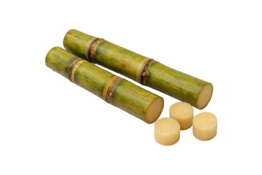 Taze yeşil şeker kamışı sapları ve beyaz arkaplanda izole edilmiş yuvarlak kamış parçaları, şeker üretimi ve organik meyve suyu için kullanılan tropikal ekinin sulu dokusunu ve doğal tatlılığını gösteriyor.