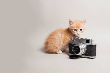 Eskimiş bir kamera ve komik bir kedi yavrusuyla hafif bir arkaplan.