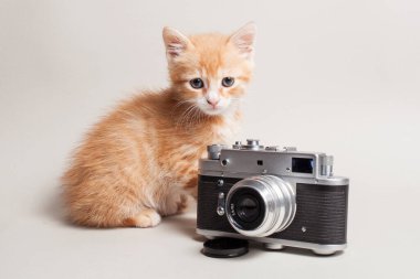 Komik kızıl kedi yavrusu ve arka planda klasik bir kamera.