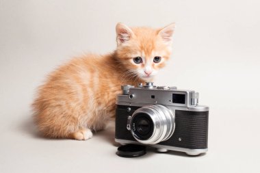 Komik kızıl kedi yavrusu ve arka planda antika bir kamera.
