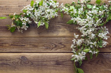 Ahşap arka planda elma çiçeği. Boşluğu kopyala.