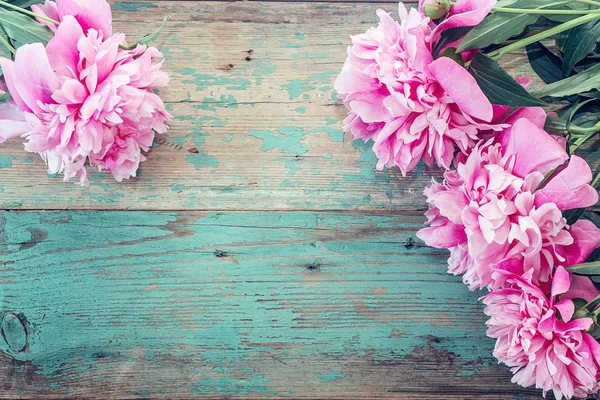 Arka plan eski püskü mavi ile eski kurullarında pembe peonies ile 