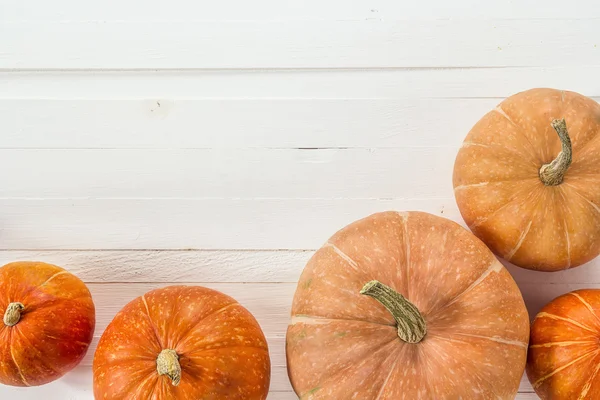 Achtergrond met verschillende pumpkins op witte houten planken. Ruimte f — Stockfoto