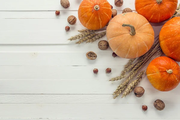 Arka plan pumpkins, fındık ve buğday bir beyaz tahta üzerinde kulakları ile