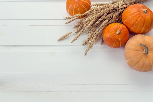 Fondo con calabazas y espigas de trigo sobre una boa de madera blanca — Foto de Stock