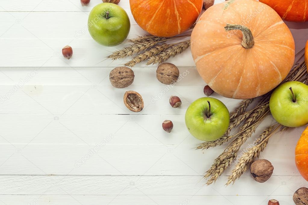 Background with pumpkins, nuts, apples and ears of wheat on a wh