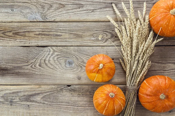 Background with pumpkins and ears of wheat on the old wooden boa — Stock Photo, Image