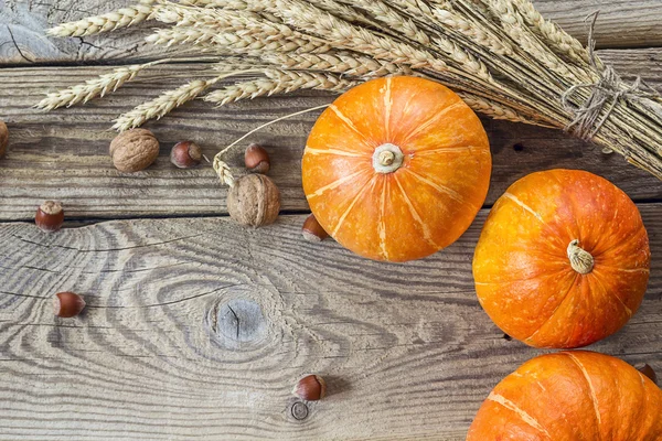 Background from small pumpkins, nuts and wheat spikes on old woo — Stock Photo, Image