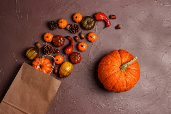 Brown Paper Shopping Bag Pumpkins Acorns Cones Brown Background Holiday — Stock Photo, Image