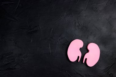 Siyah arka planda, kopyalama alanı olan pembe insan böbreği sembolü. Dünya Böbrek Günü. Böbrek sağlığı konsepti. Düz yatış, üst görünüm.