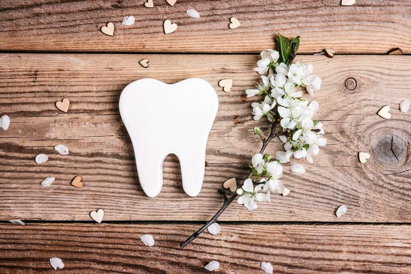 Healthy Tooth Symbol Apple Blossom Branch Old Wooden Background Dentist — Stock Photo, Image