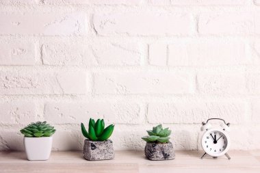 Beyaz tuğladan bir duvarın arka planında alarm saati olan çömleklerdeki küçük sulular. Metin için alanı kopyala.