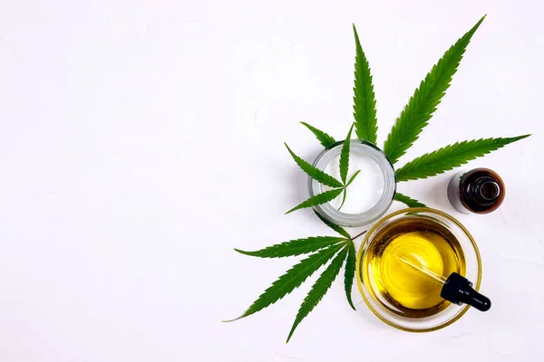 Crema Idratante Con Foglie Marijuana Olio Cbd Con Contagocce Fondo — Foto Stock