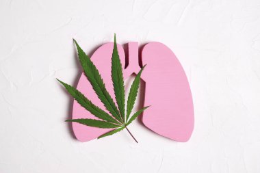 Beyaz arka planda marihuana yaprağı olan insan ciğerleri. Tıbbi marihuana sembolü. Akciğer hastalıklarının tedavisi.