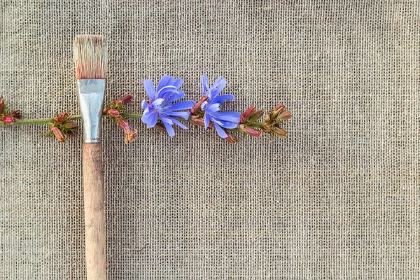 Pinceau et fleur de chicorée sur le sac — Photo