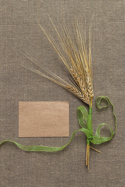 Empty paper and spikelets tied with ribbon