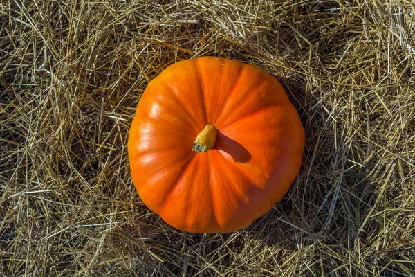 Pumpkin on the hay top view — Stock Photo, Image