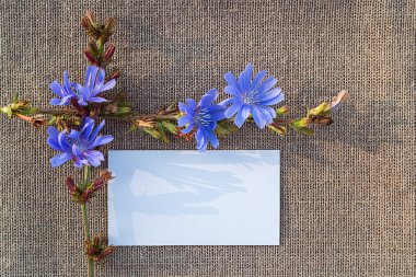 Sivas'tan boş kağıda