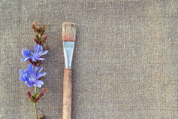 Pinceau et fleur de chicorée sur le sac — Photo