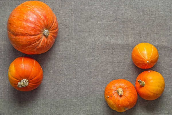 Lege ruimte met pumpkins — Stockfoto