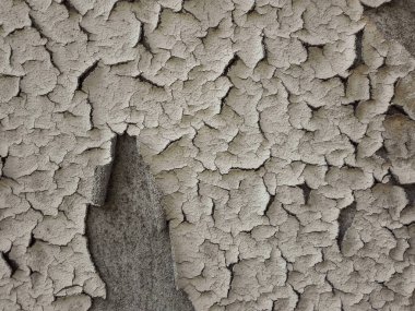 Boya kabuğu ya da su toplayan duvar. Dökülen duvarın dokusu.