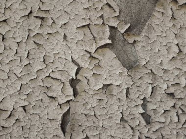 Boya kabuğu ya da su toplayan duvar. Dökülen duvarın dokusu.