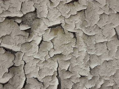 Boya kabuğu ya da su toplayan duvar. Dökülen duvarın dokusu.