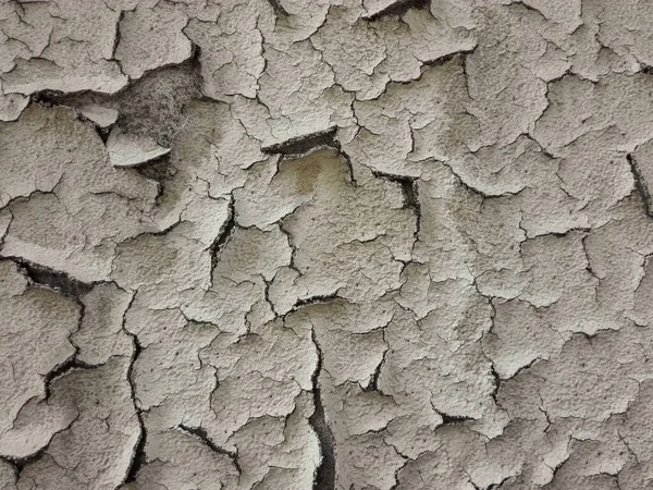 Boya kabuğu ya da su toplayan duvar. Dökülen duvarın dokusu.