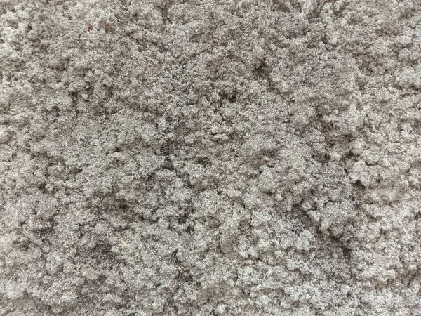 Beton doku. Gri ve çiğ duvarlı arka plan. Çiziklerle kaplı beton ve gri ve beyaz tonlarda pürüzlü doku..