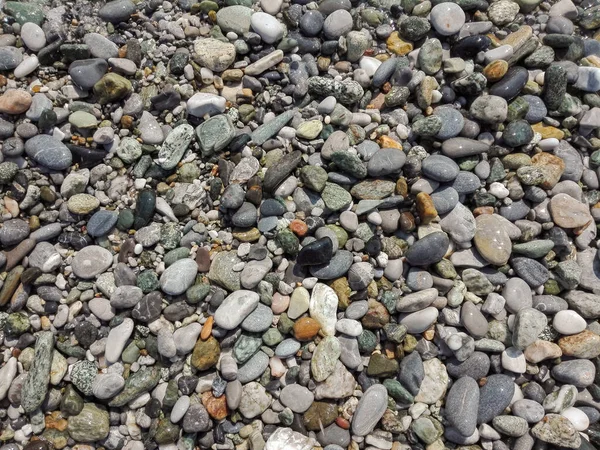 Камни Галька Пляже Чистой Водой Морская Галька Текстура Камней — стоковое фото