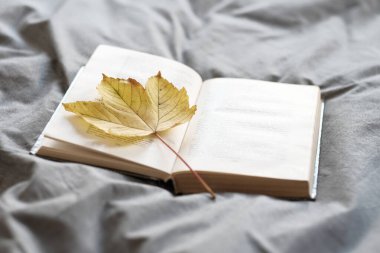 Evdeki sıcak sonbahar mevsimi. Sarı akçaağaç yaprağı olan açık bir kitap yatağın üzerinde yatıyor..