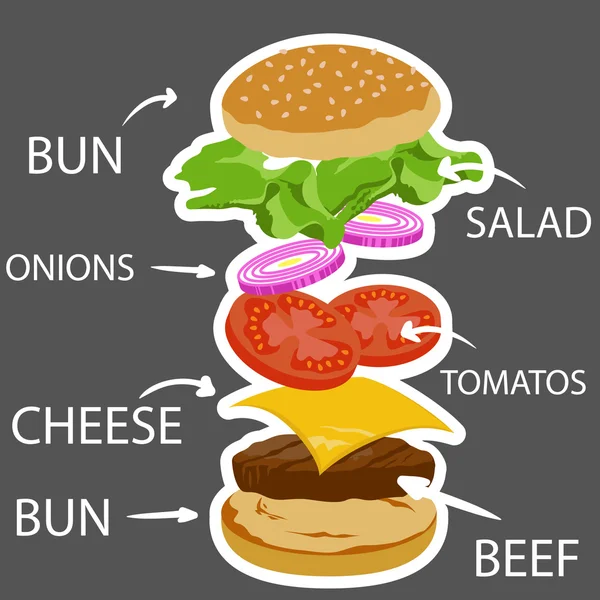 Burger ingredient, fast food — Stock Vector