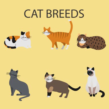 Kedi doğurmak, kedi simgeleri