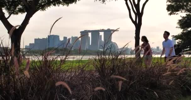 Jardines Junto Bahía Marina Bay Desde Bay East Singapore — Vídeo de stock