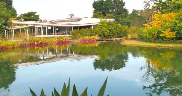 Jardín Junto Lago Singapur — Vídeo de stock