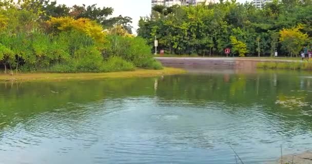 Lake Side Green Garden Singapur — Vídeo de stock