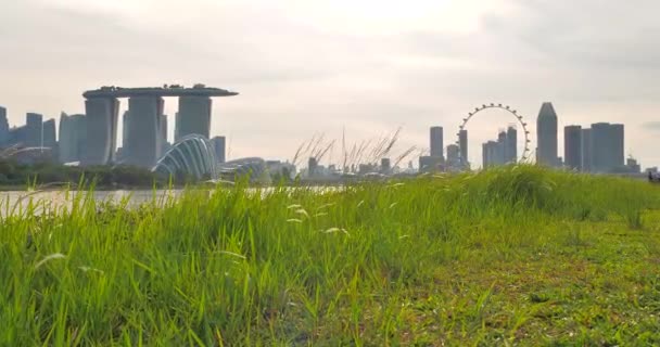 Jardines Bahía Singapur Rueda Voladora — Vídeo de stock