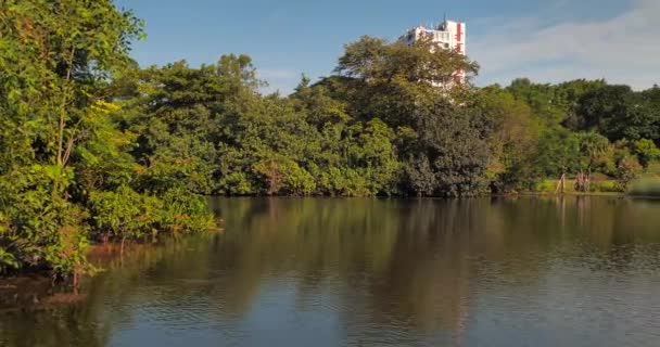 Vista Panorámica Del Lago Jardín — Vídeo de stock