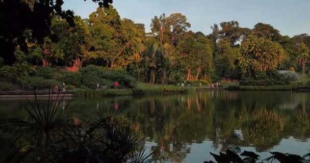 Vista Panorámica Del Lago Noche Jardín — Vídeo de stock